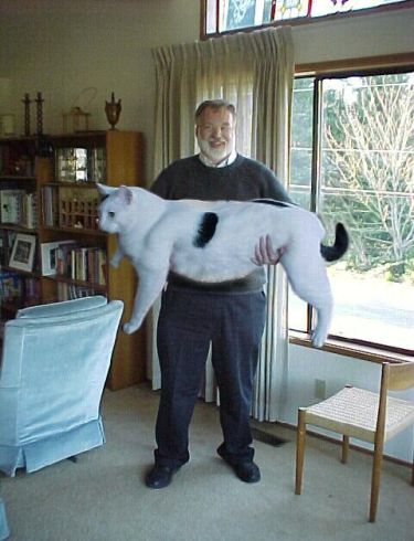 snowball-fake-giant-cat.jpg