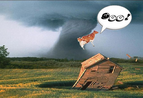 cow-in-tornado.jpg