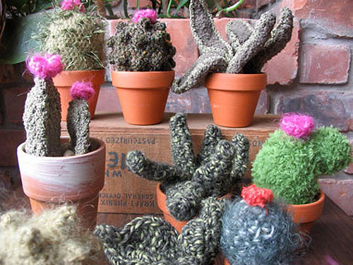 [http://static.neatorama.com/images/2011-01/crocheted-cacti-shannon-gerard.jpg]