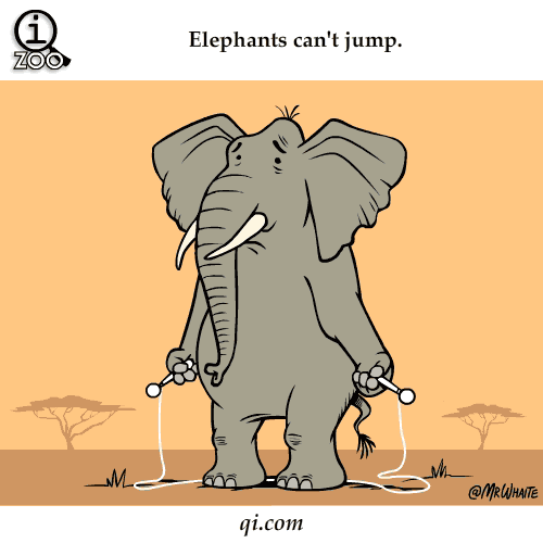 http://static.neatorama.com/images/2013-05/elephant-cant-jump.gif