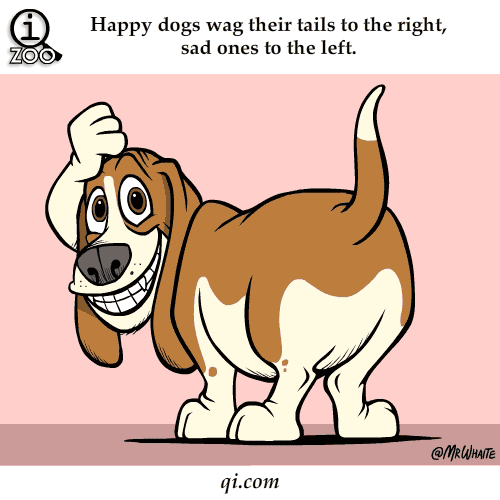 animated clipart dog wagging tail - photo #39