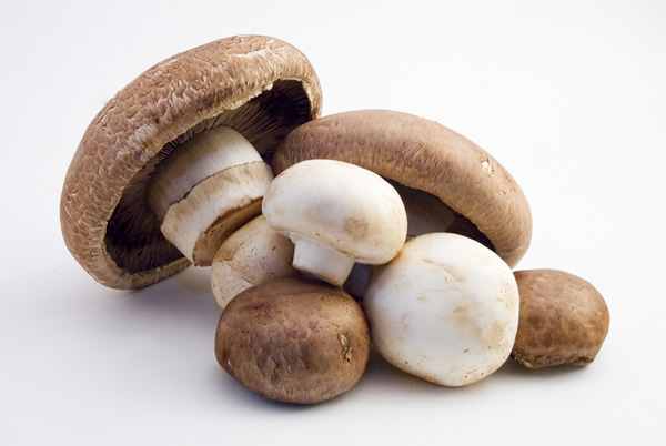Portabello and button mushrooms