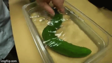 How To Make A Cucumber Move Like A Snake Neatorama