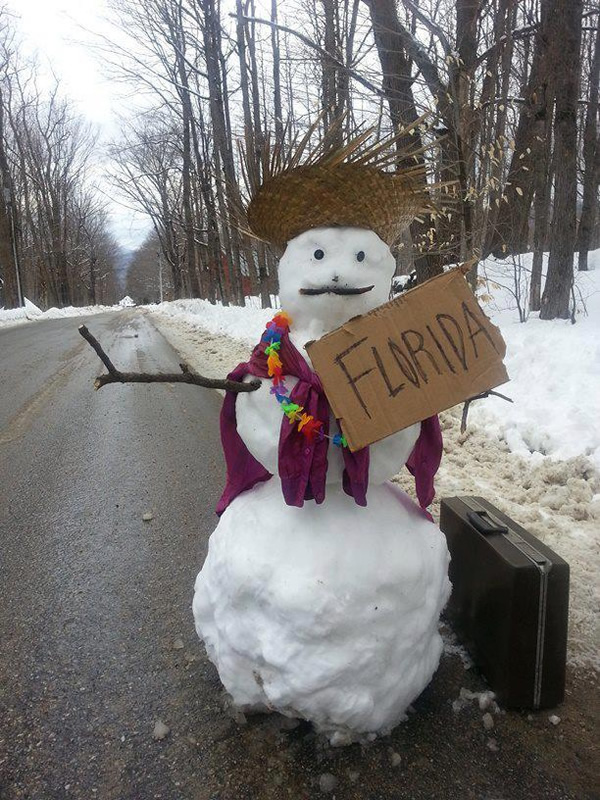 http://static.neatorama.com/images/2014-02/snowman-hitchhiking-florida.jpg|https://earthriderdotcom.files.wordpress.com/2014/02/snowman-diane-h-mcdowell-gray-and-donna-cox-austin.jpg|/image.php?image=ineptocracy/snowman.jpg