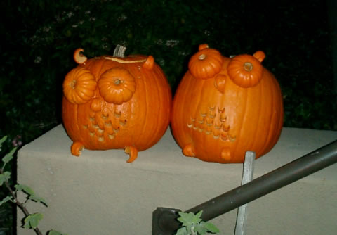 Owl Pumpkin. - Neatorama