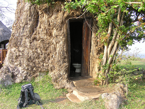 Toilet inside a baobab tree